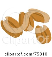 Royalty Free RF Clipart Illustration Of Four Pecan Nuts by Rosie Piter #COLLC75310-0023