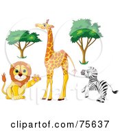 Poster, Art Print Of Digital Collage Of African Trees And Animals Friendly Lion Tall Giraffe And Rearing Zebra