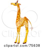 Poster, Art Print Of Tall Female Giraffe With Long Eyelashes