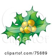 Poster, Art Print Of Green Christmas Holly With Yellow Berries