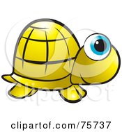 Poster, Art Print Of Golden Tortoise With Big Blue Eyes