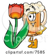 Beer Mug Mascot Cartoon Character With A Red Tulip Flower In The Spring