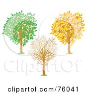 Poster, Art Print Of Digital Collage Of A Young Tree Shown In Autumn Winter And Summer