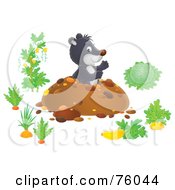 Royalty Free RF Clipart Illustration Of A Cute Gray Gopher Popping Out From His Den In A Vegetable Garden