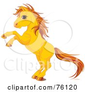 Poster, Art Print Of Rearing Yellow Horse With Golden Hooves And Hair