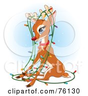 Poster, Art Print Of Rudolph Tangled In A Strand Of Christmas Lights