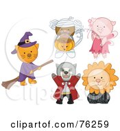 Poster, Art Print Of Digital Collage Of A Cat Monkey Pig Tasmanian Devil And Lion In Halloween Costumes