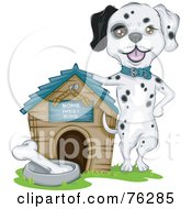 Proud Dalmatian Dog Presenting Off His House