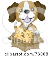 Adorable Beagle Puppy Wearing An Adopt Me Sign And Sitting In A Box