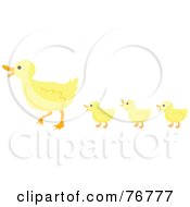 Poster, Art Print Of Three Yellow Ducklings Following Their Mother Ducks In A Row