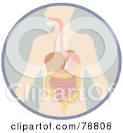Royalty Free RF Clipart Illustration Of A Human Body With The Digestive System In A Circle by Rosie Piter