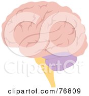 Royalty Free RF Clipart Illustration Of A Pink Human Brain by Rosie Piter
