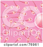 Royalty Free RF Clipart Illustration Of A Pink Background Of Anxious Sperm Swimming Towards An Egg by michaeltravers
