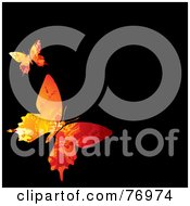 Poster, Art Print Of Black Background With Two Orange Butterflies
