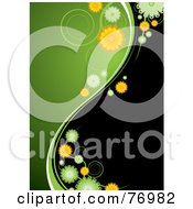 Poster, Art Print Of Green And Orange Daisy Flowers Dividing A Background Of Black And Green