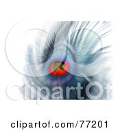 Poster, Art Print Of Blurred Abstract Peacock Feather Over White