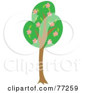 Tall Green Tree With Pink Blossoming Flowers