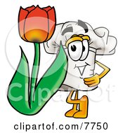 Poster, Art Print Of Chefs Hat Mascot Cartoon Character With A Red Tulip Flower In The Spring