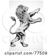 Poster, Art Print Of Gray And Black Lunging Lion