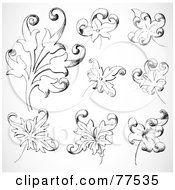 Royalty Free RF Clipart Illustration Of A Digital Collage Of Ornate Black And White Plant Leaves