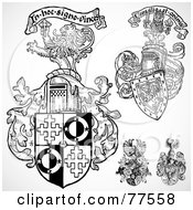 Poster, Art Print Of Digital Collage Of Black And White Floral Shields
