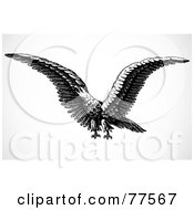 Royalty Free RF Clipart Illustration Of A Black And White Flying Eagle Squawking