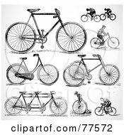 Poster, Art Print Of Digital Collage Of Old Fashioned Bicycles