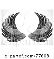 Poster, Art Print Of Pair Of Grungy Black And White Spanned Feathered Wings