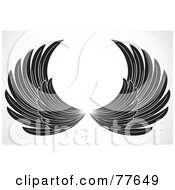 Poster, Art Print Of Pair Of Black And White Spanned Feathered Wings