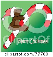Merry Christmas Greeting With A Teddy Bear On A Candy Cane Over Green