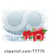 Gray Winter Christmas Background With Snowflakes White Grunge And Red Poinsettias