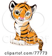 Adorable Sitting Baby Tiger Cub