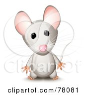 Poster, Art Print Of Curious Standing Gray Mouse With Pink Ears