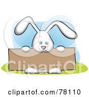 Poster, Art Print Of Cute White Bunny Holding A Blank Brown Sign Board