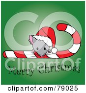 Poster, Art Print Of Merry Christmas Mouse Looking Over A Candy Cane And Wearing A Santa Hat