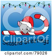 Poster, Art Print Of Seasons Greetings Christmas Mouse Looking Over A Candy Cane And Wearing A Santa Hat With Christmas Lights