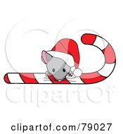 Cute Christmas Mouse Looking Over A Candy Cane And Wearing A Santa Hat