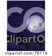 Vertical Background Of The Full Moon Over Winter Trees At Night Under A Starry Sky