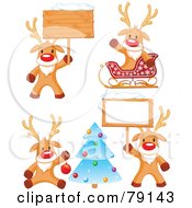 Poster, Art Print Of Digital Collage Of Cute Rudolph The Red Nosed Reindeer Christmas Poses