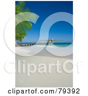 3d Yellow Floatplane At The End Of A Pier On A Tropical Beach