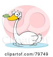 Poster, Art Print Of Swimming Swan With A Leaf In Its Beak