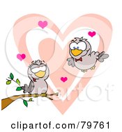 Two Turtle Doves By A Branch In Front Of A Big Heart