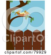 Poster, Art Print Of Two Birds Watching Over Their Nest In A Tree In A Backyard