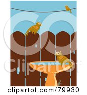 Poster, Art Print Of Three Birds Perched On A Wire Fence And Bird Bath In A Back Yard