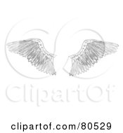Royalty Free RF Clipart Illustration Of A Pair Of Feathered Eagle Wings by tdoes #COLLC80529-0154