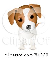 Royalty Free RF Clipart Illustration Of A Curious Adorable Jack Russell Puppy Dog by Oligo #COLLC81330-0124