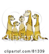 Poster, Art Print Of Chatty Meerkat Family
