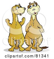 Poster, Art Print Of Two Happy Meerkat Friends