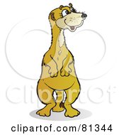 Poster, Art Print Of Meerkat Standing And Looking Right