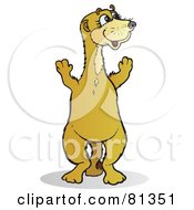 Poster, Art Print Of Happy Meerkat Standing On His Hind Legs And Looking Right